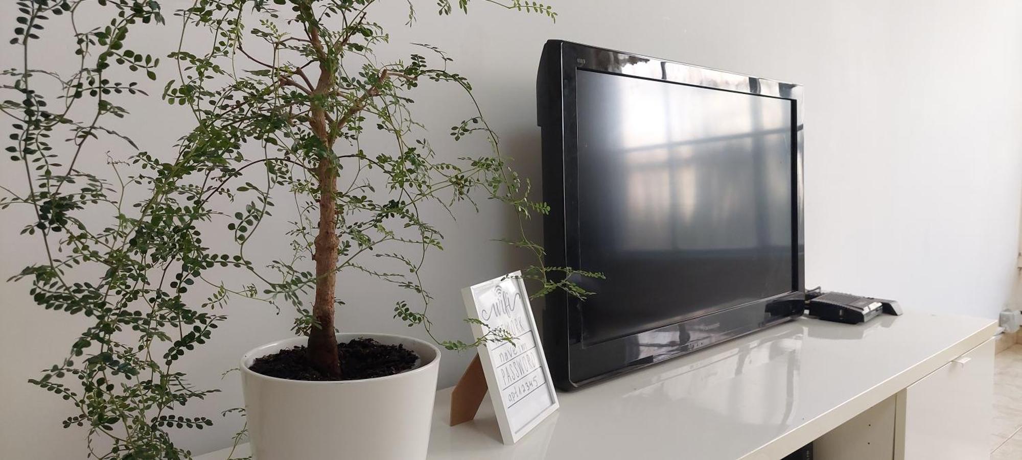 הנביאים 1 נתניה Naveim Apartment 외부 사진